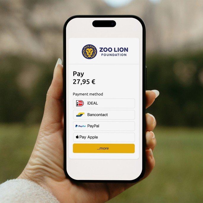 E-commerce - Payment method.jpg