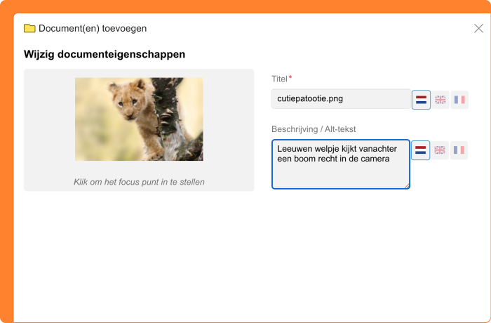 Schermafbeelding van het toevoegen van alt-tekst aan een bestand in Library