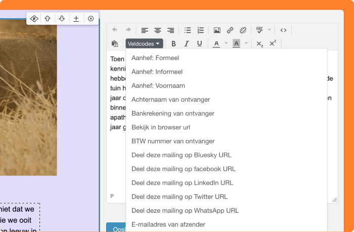 Schermafbeelding van het makkelijker plaatsen van veldcodes in de tekst