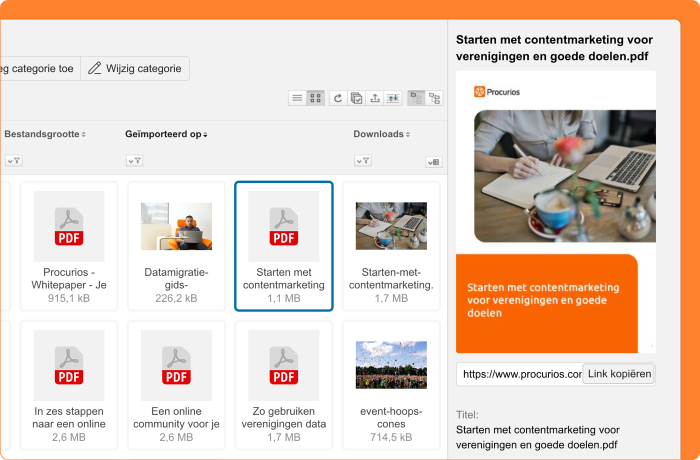 Schermafbeelding van pdf-voorbeeld