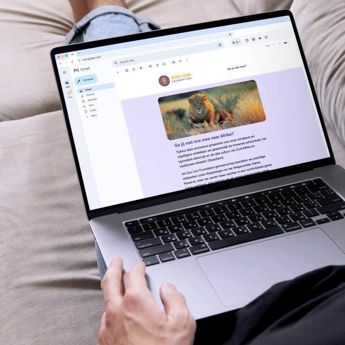 Mock-up e-mailnieuwsbrief.png