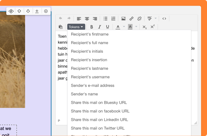 Screenshot of adding tokens to the email text in an easier way