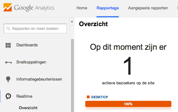 Google Analytics - 1 actieve gebruiker