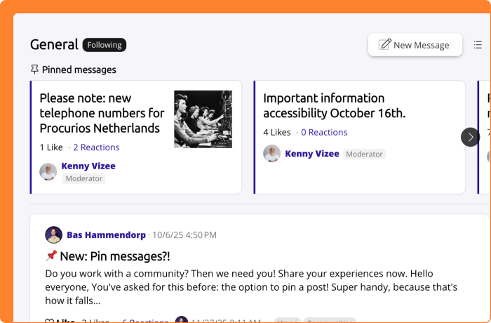 Screenshot of pinned messages